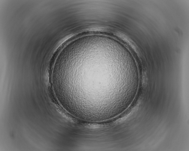 X0000112860829200908281602