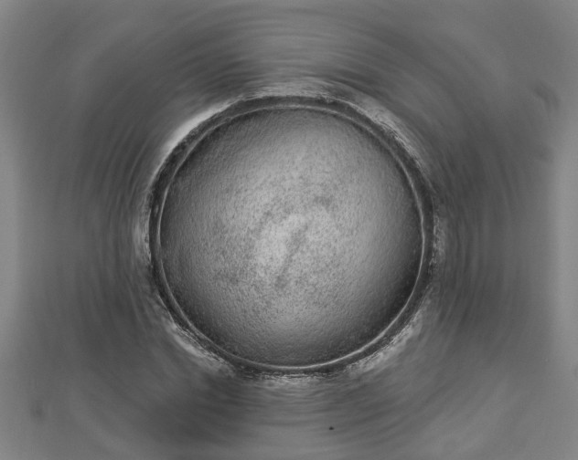 X0000112860830200908281602