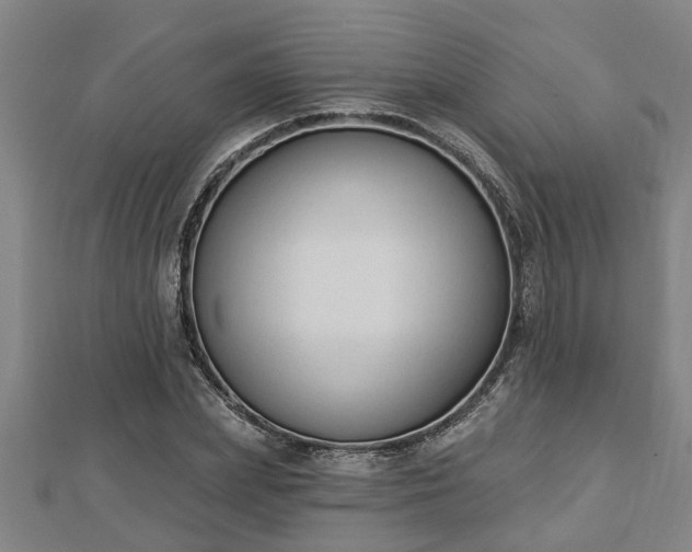 X0000112860831200908281602