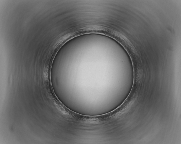X0000112860833200908281602
