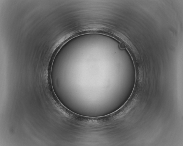 X0000112860834200908281602