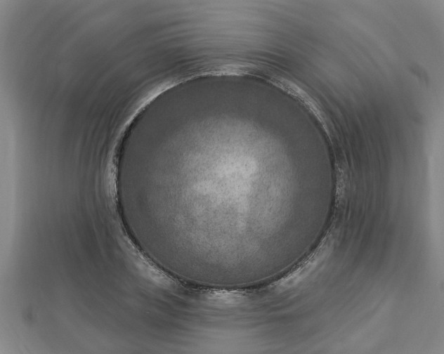 X0000112860835200908281602