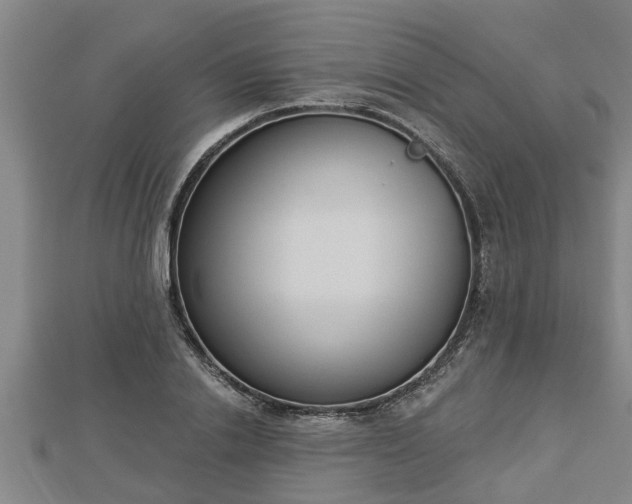 X0000112860838200908281602