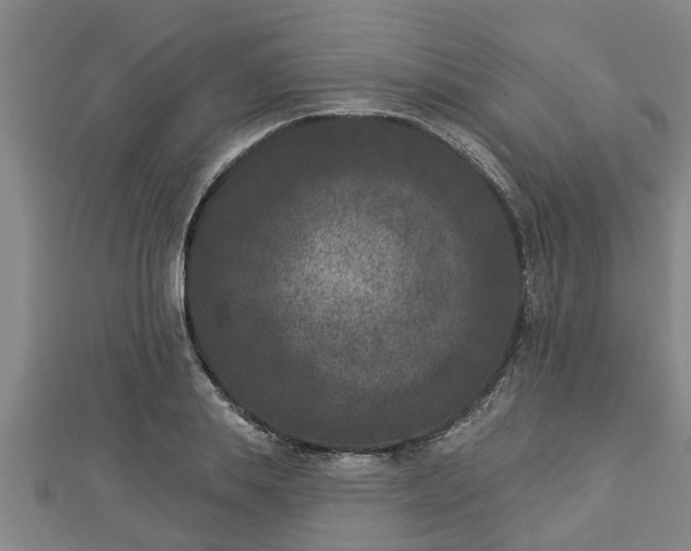 X0000112860839200908281602