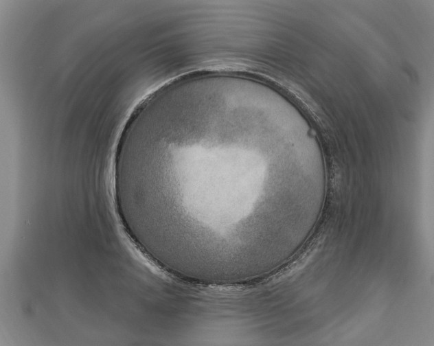 X0000112860840200908281602