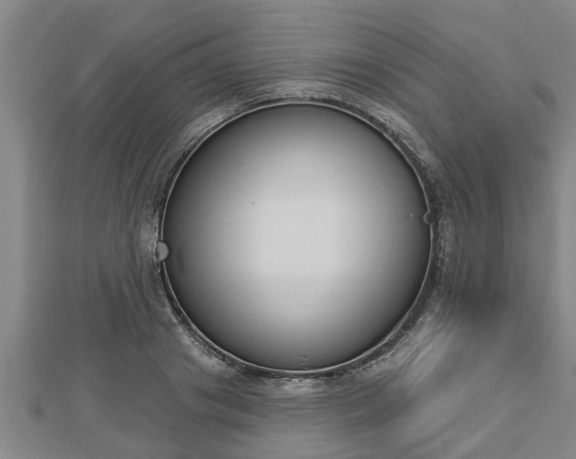 X0000112860841200908281602