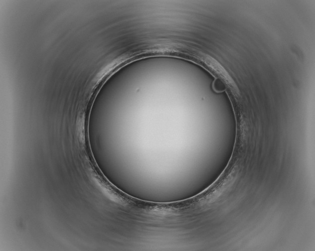 X0000112860842200908281602