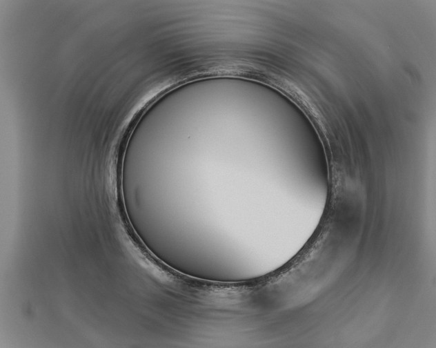 X0000112860843200908281602