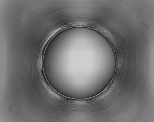 X0000112860844200908281602