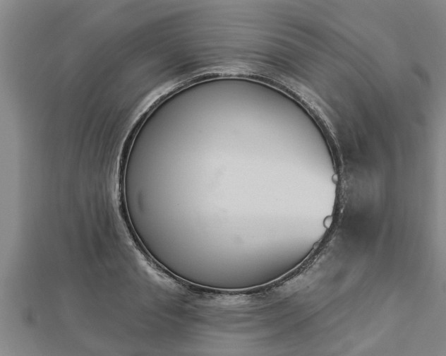 X0000112860845200908281602
