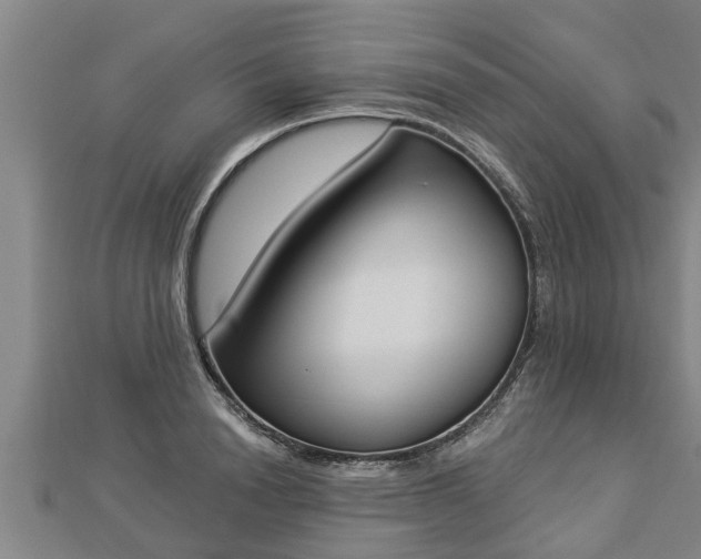 X0000112860846200908281602