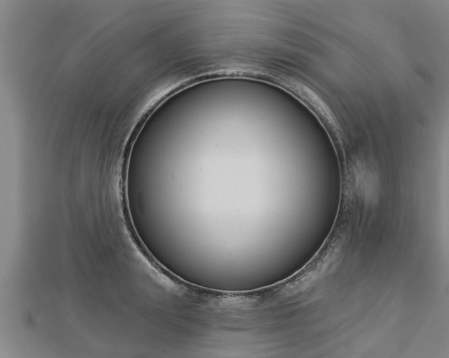 X0000112860847200908281602