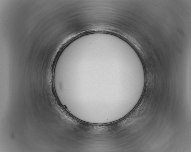 X0000112860848200908281602