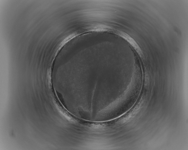 X0000112860850200908281602