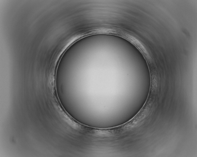 X0000112860852200908281602