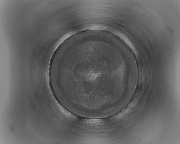 X0000112860853200908281602