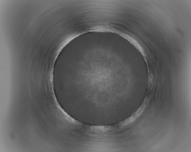 X0000112860855200908281602