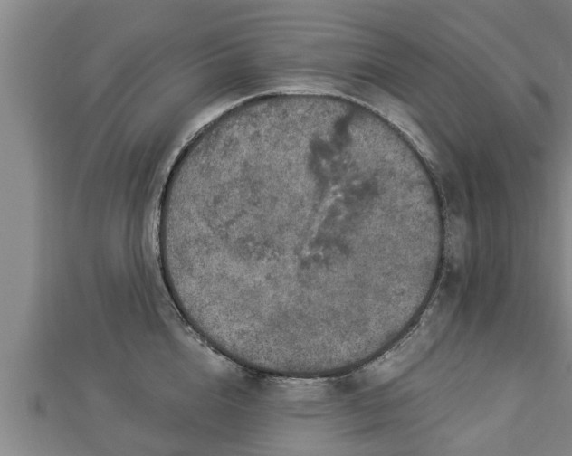 X0000112860856200908281602