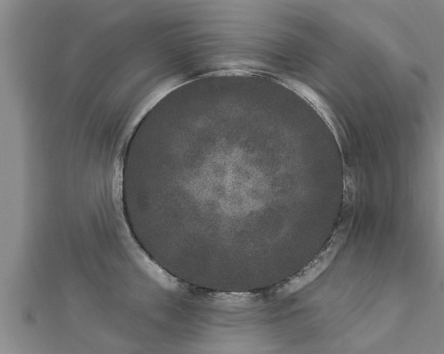X0000112860859200908281602