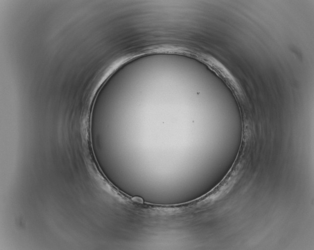 X0000112860860200908281602