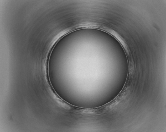 X0000112860861200908281602