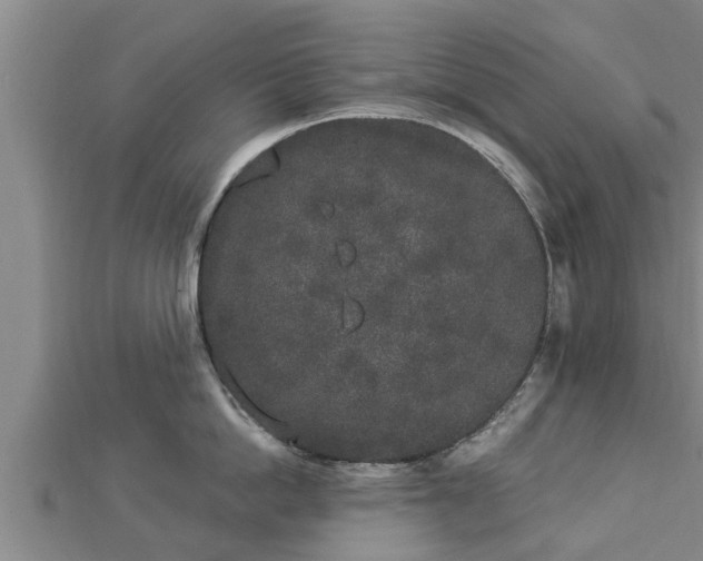 X0000112860862200908281602