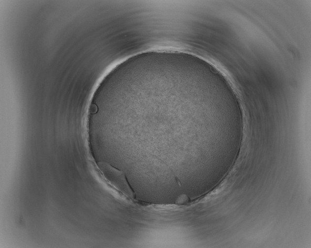 X0000112860864200908281602