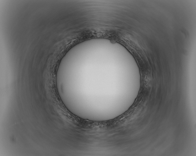 X0000112860865200908281602