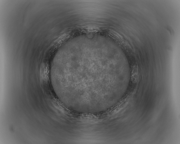 X0000112860866200908281602