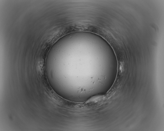 X0000112860867200908281602