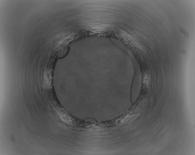X0000112860868200908281602