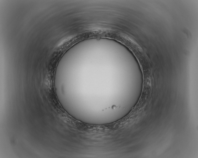 X0000112860869200908281602