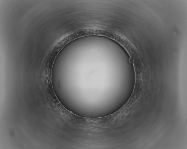 X0000112860870200908281602