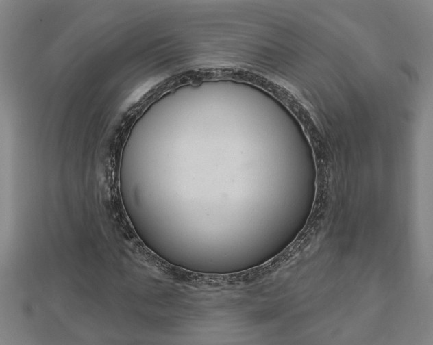 X0000112860871200908281602