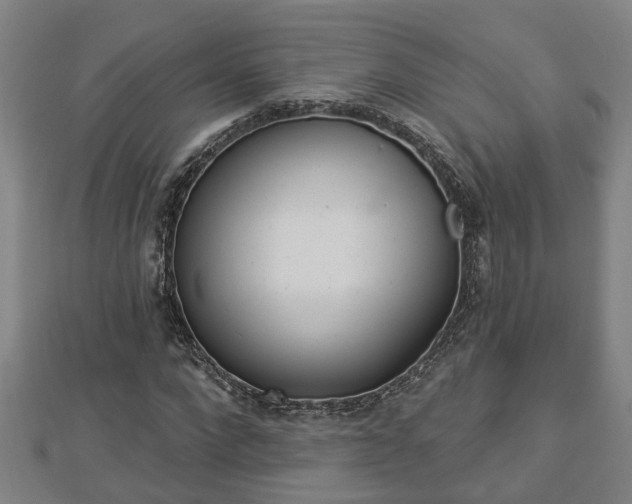 X0000112860872200908281602
