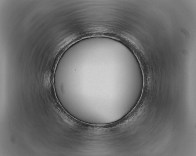 X0000112860873200908281602