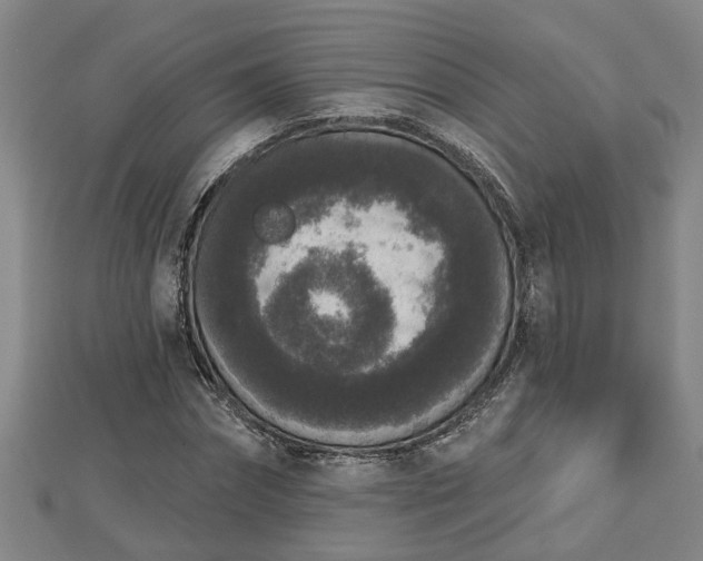 X0000112860874200908281602