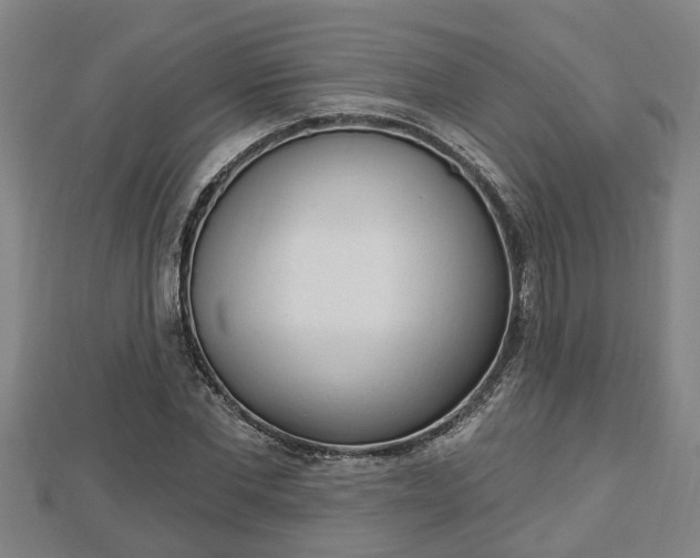 X0000112860877200908281602