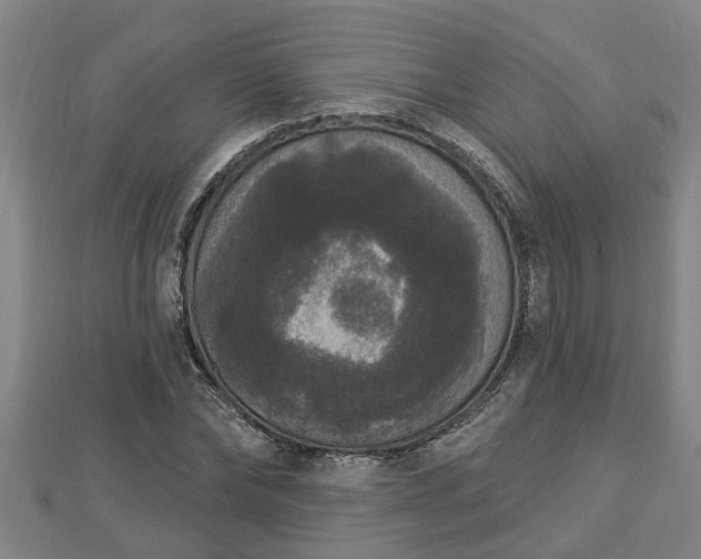 X0000112860878200908281602