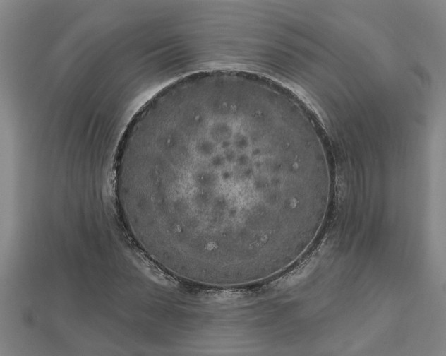 X0000112860879200908281601