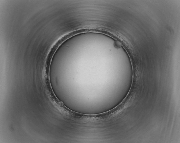 X0000112860880200908281601