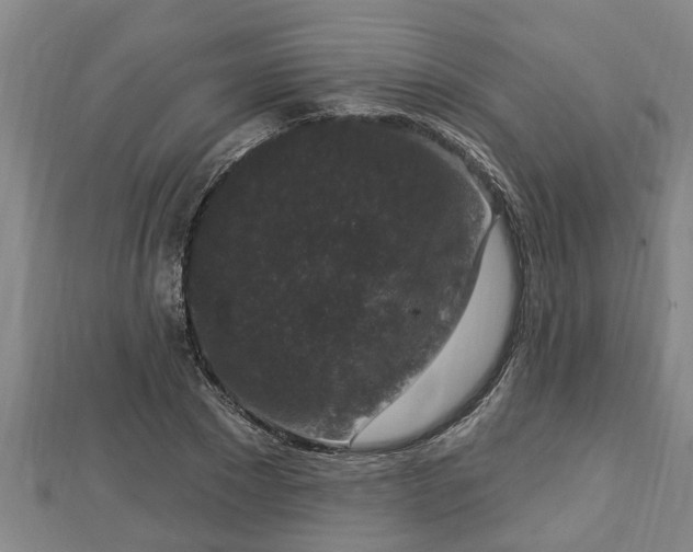 X0000112860881200908281601