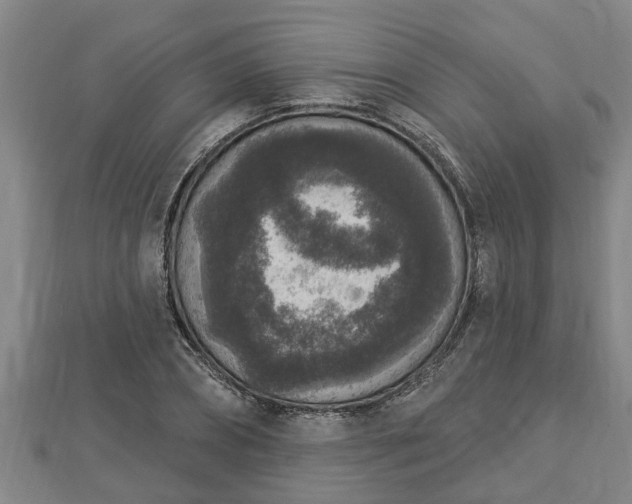 X0000112860882200908281601