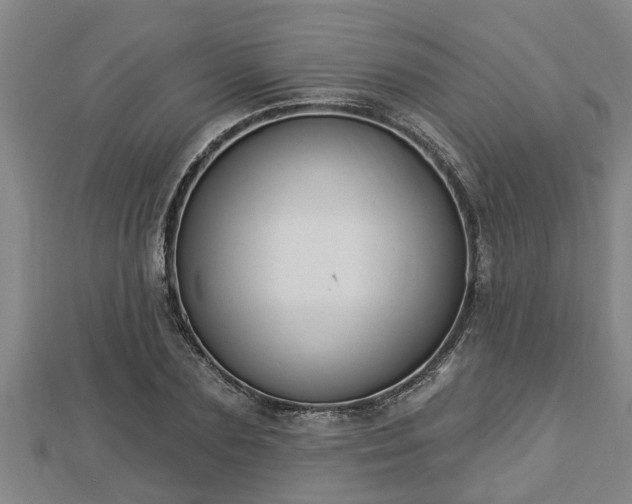 X0000112860883200908281601