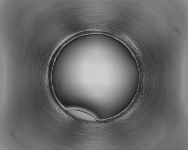 X0000112860884200908281601