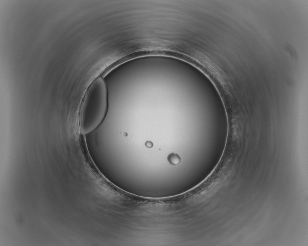 X0000112860885200908281601