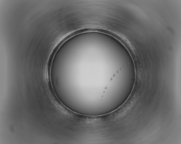 X0000112860887200908281601