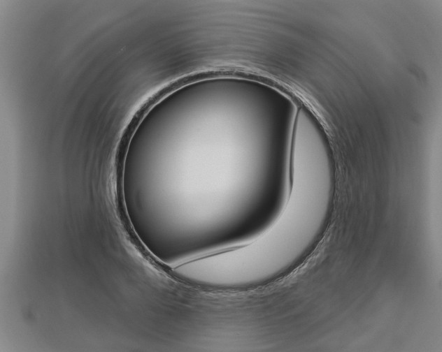 X0000112860888200908281601