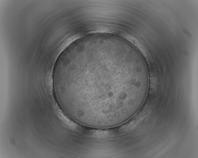 X0000112860890200908281601