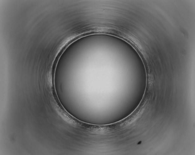 X0000112860891200908281601